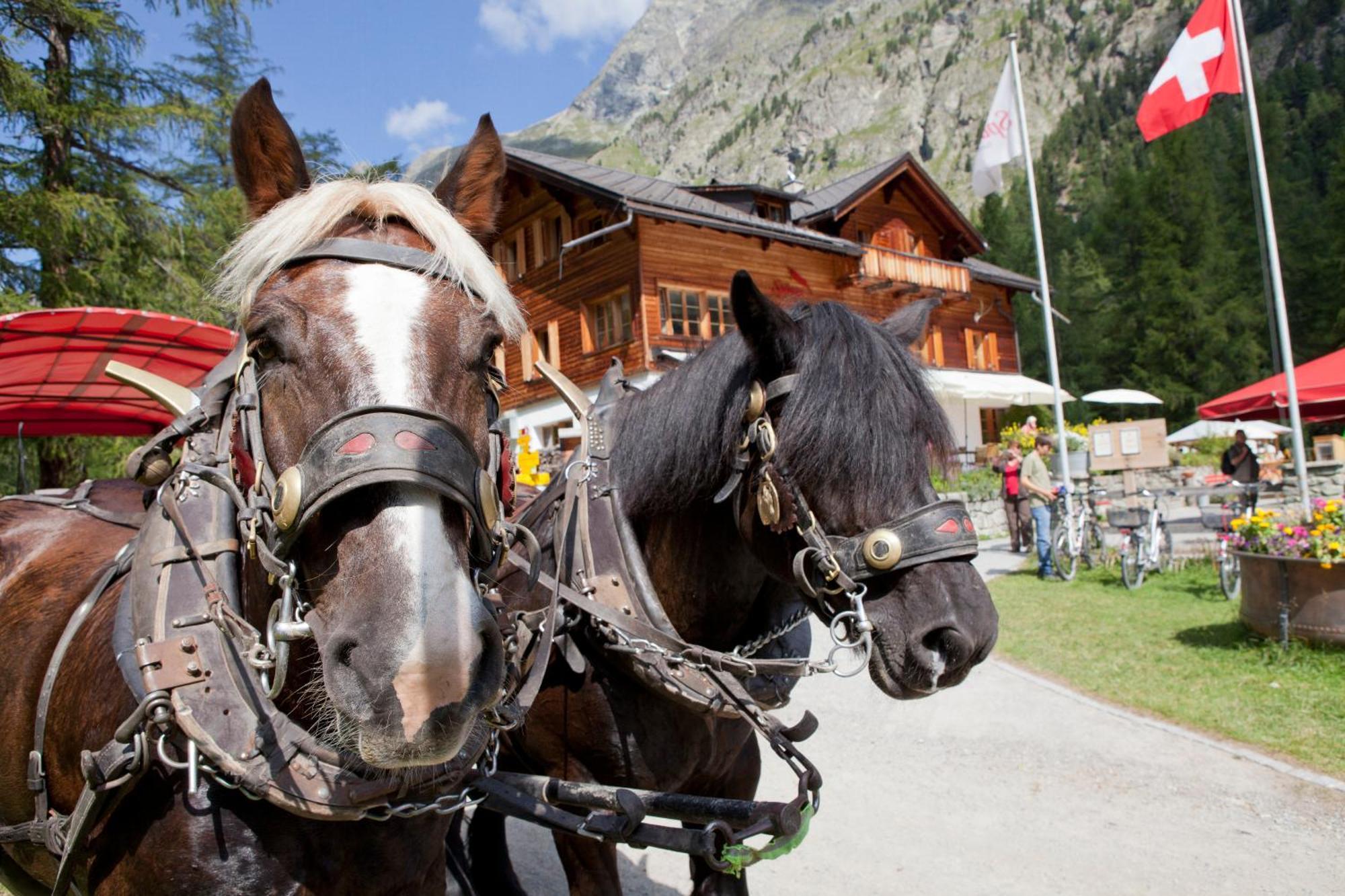 Gasthaus Spinas Bever Bagian luar foto